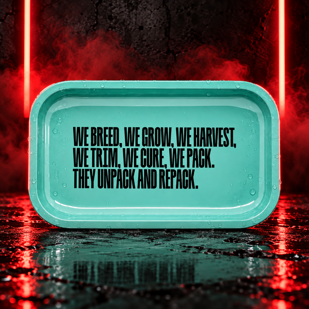 Kilogrammes „WE Grow" Tray